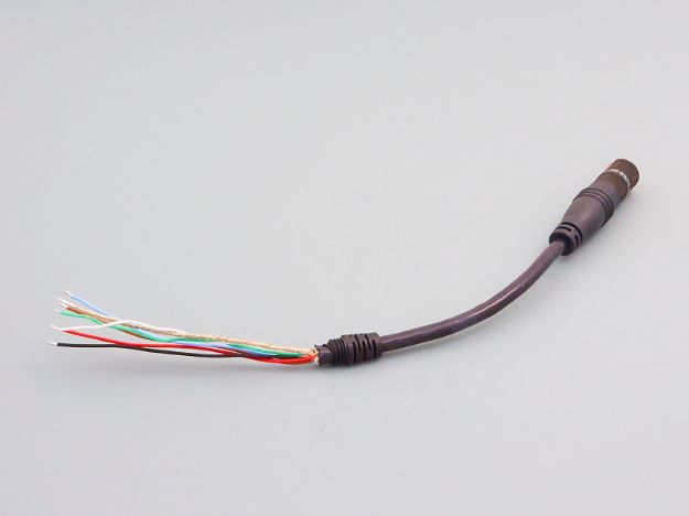 Picture of Female NW Dongle Cable, All Signals, 6", 8MM Strain Relief
