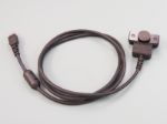 Picture of Ethernet Cable 3 Ft. (front exit)