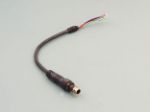 Picture of Male NW Dongle Cable, All Signals, 12", 8MM Strain Relief