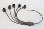 Picture of 5-Way Splitter, 12V,  (no diodes)